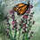Thumbnail: Monarch Butterfly & Lavender Felting Kit